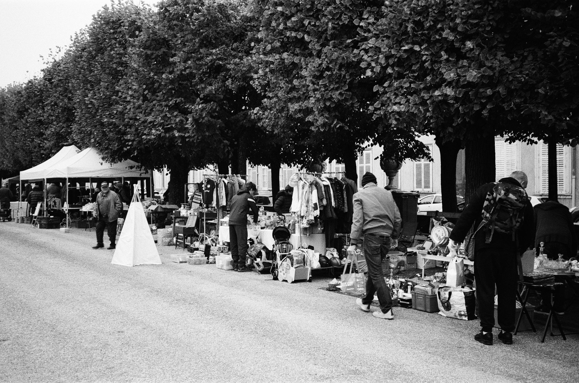 A bustling flea market in Nancy, France, featuring shoppers and vendors under a tree-lined street.