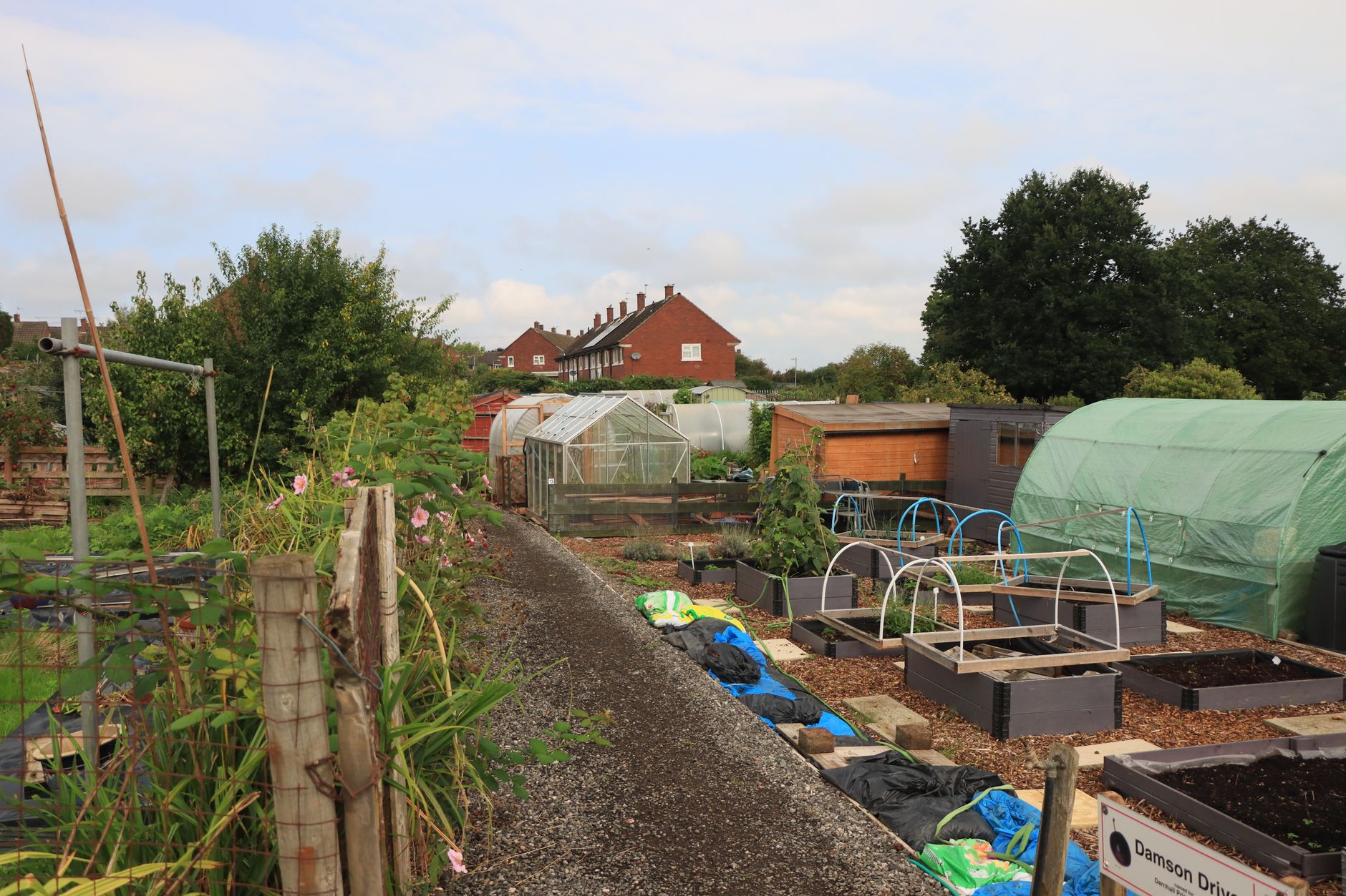 Vibrant community garden with greenhouses and neatly arranged plots in England.