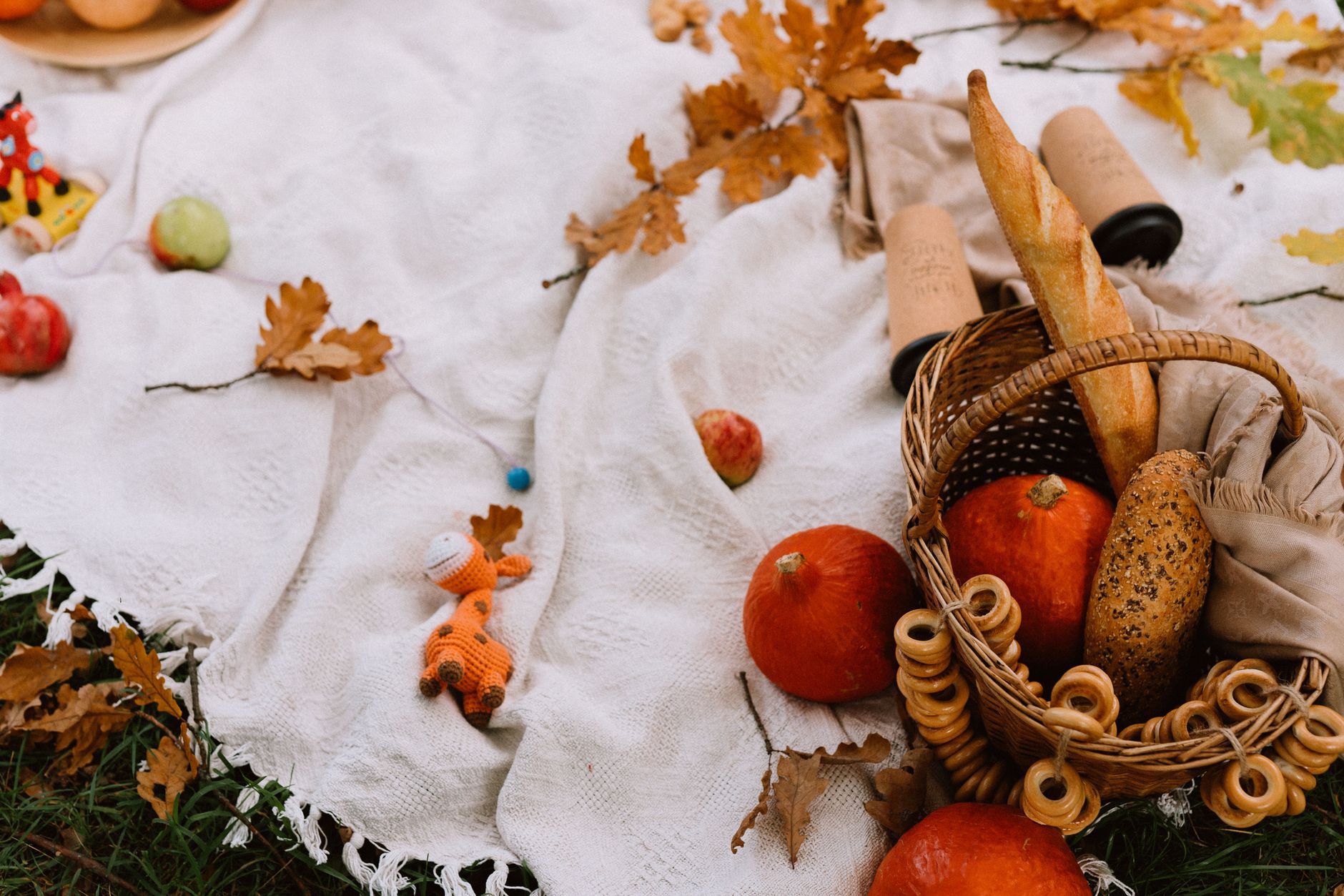 From above of freshly baked breads and crispy bagels in wicker basket placed on white blanket and composed with red kuri squashes and dry le
