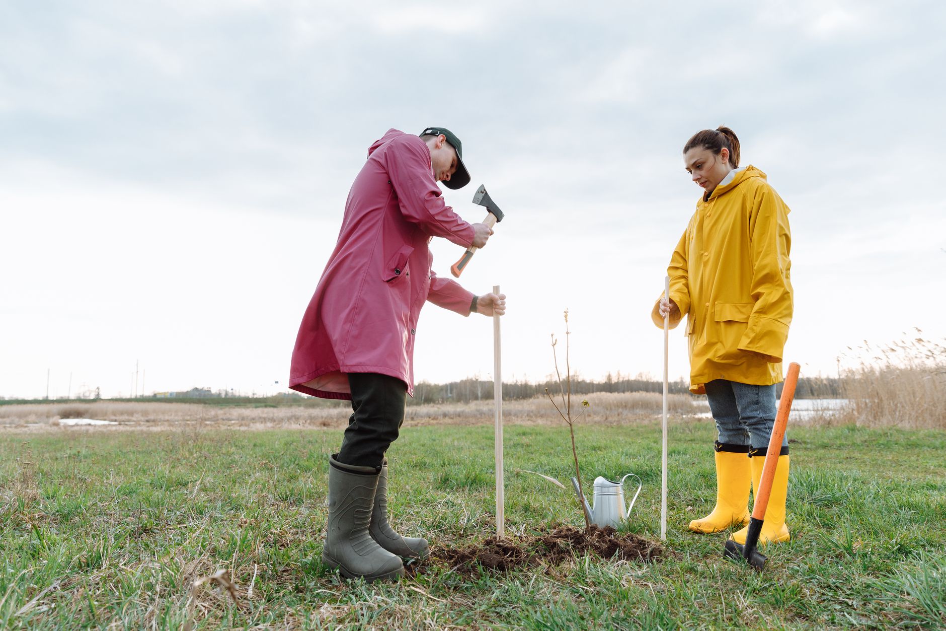 Two volunteers planting a tree sapling in a grassy field, promoting environmental care.